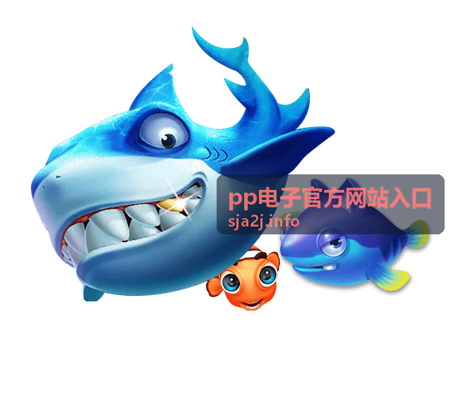 pp电子官方网站入口账号登录指引